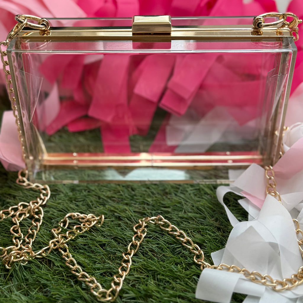 hard acrylic bag with gold chain strap