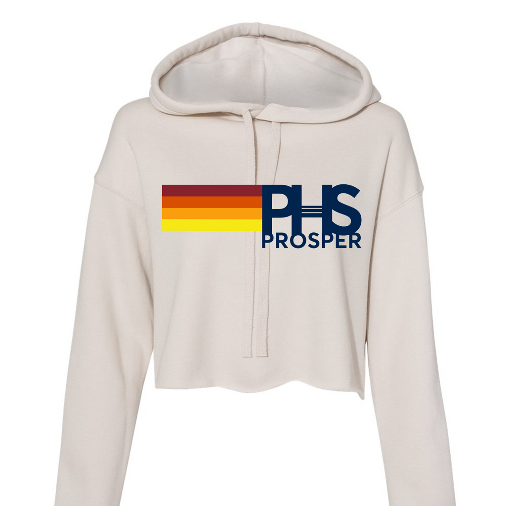 PROSPER retro stripe crop hoodie in heather dust