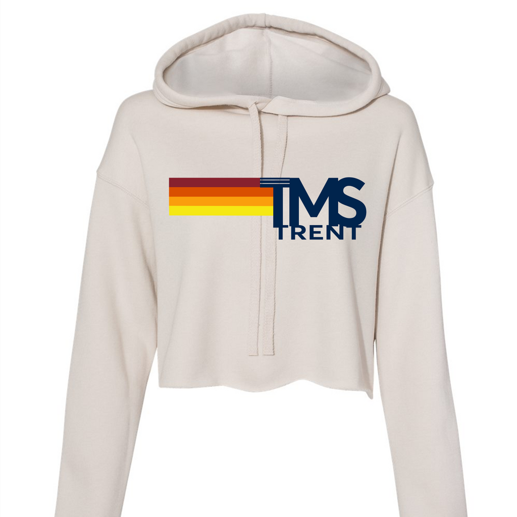 TRENT retro stripe crop hoodie in heather dust